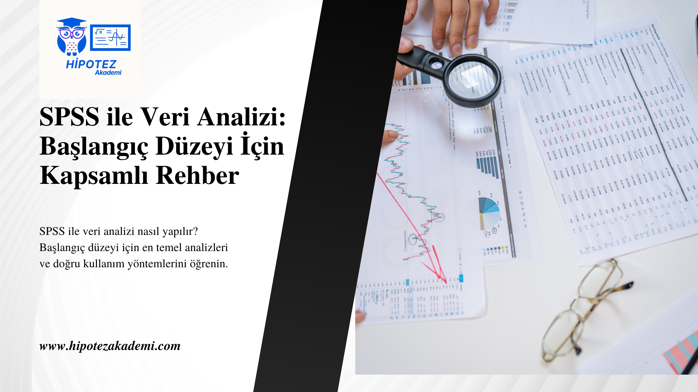 SPSS ile veri analizi